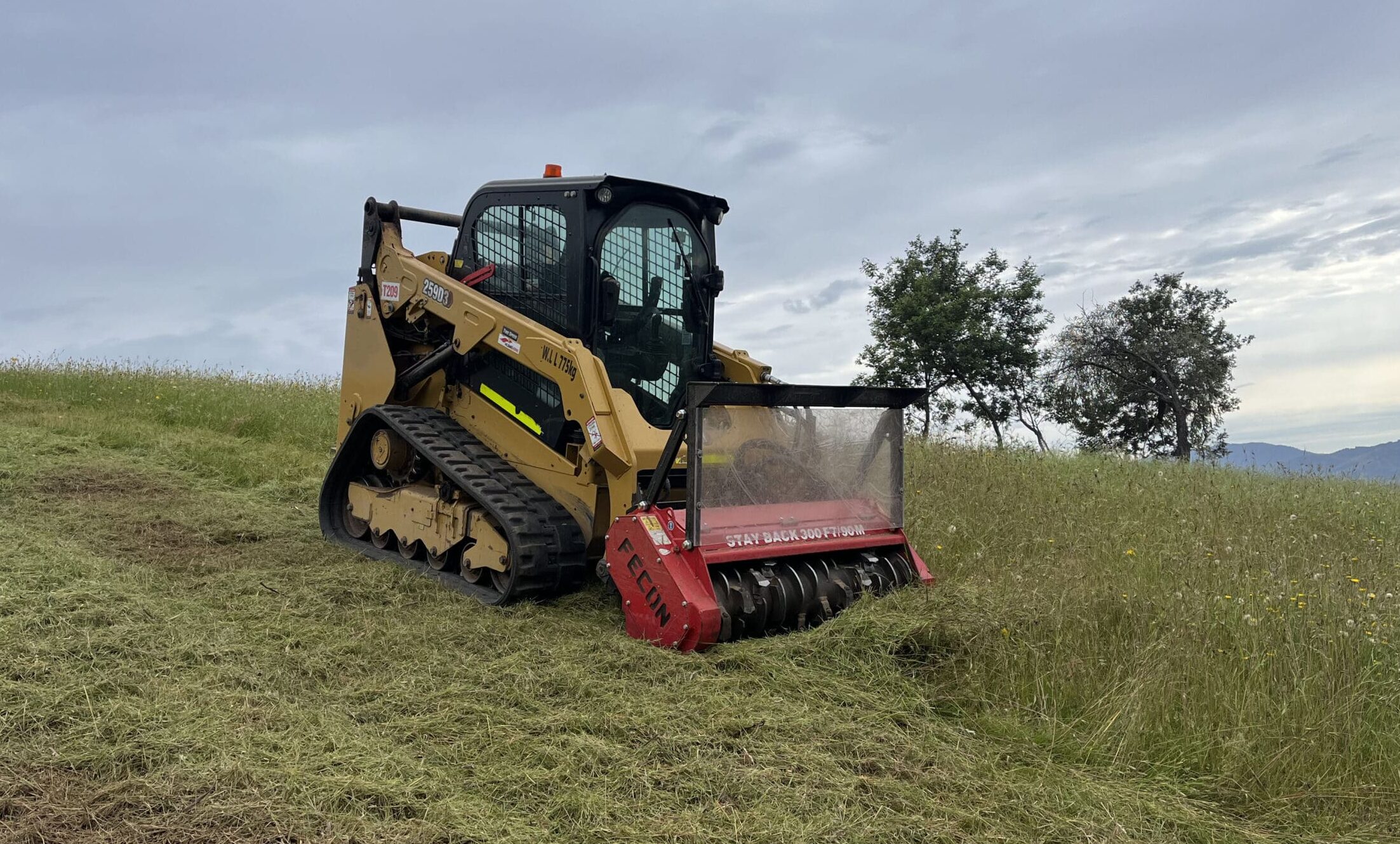 Fecon mulcher
