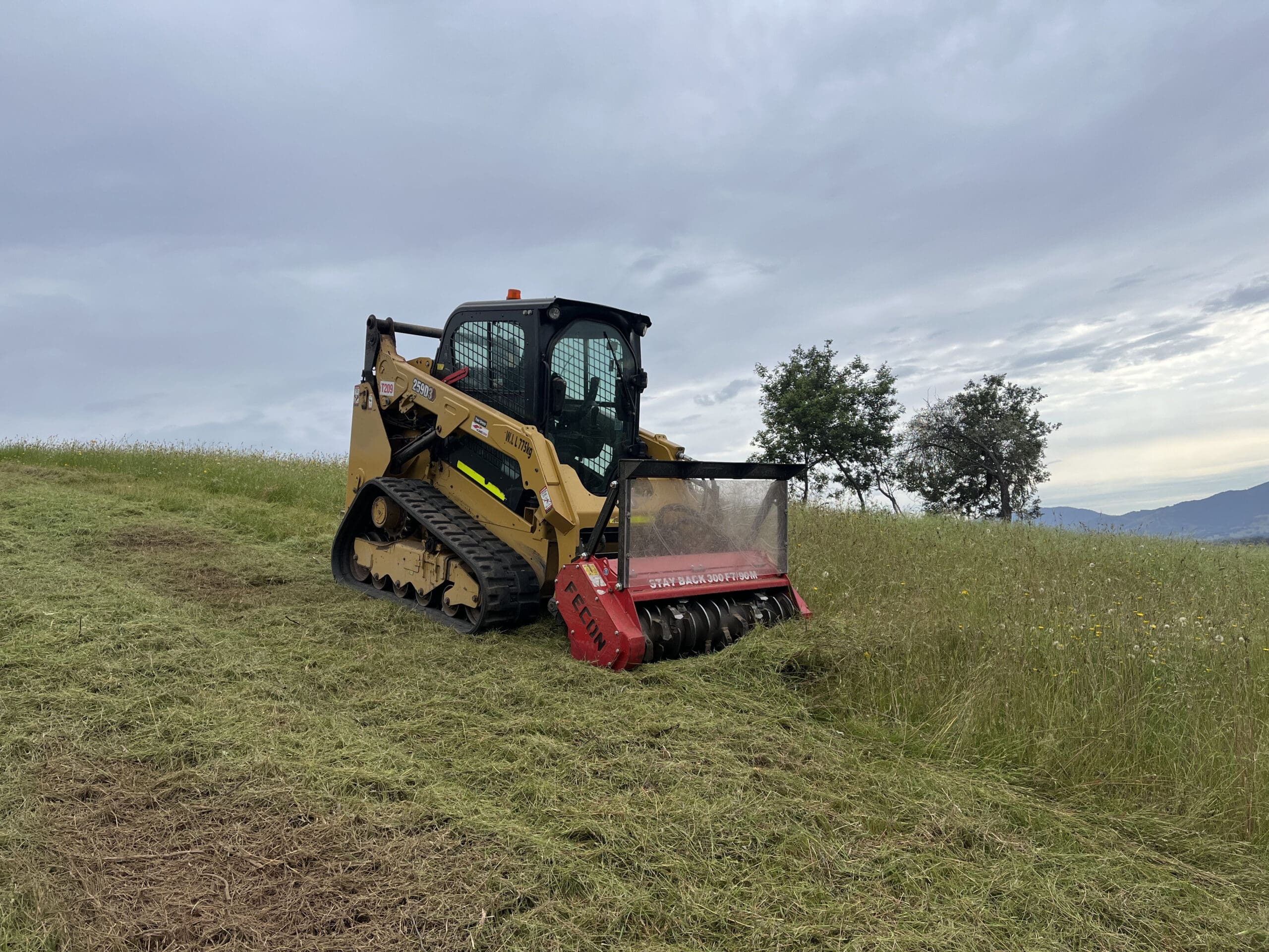 Fecon Efficiency and Mulching More | ASV Posi-Track, XCMG, JCB, Mini ...