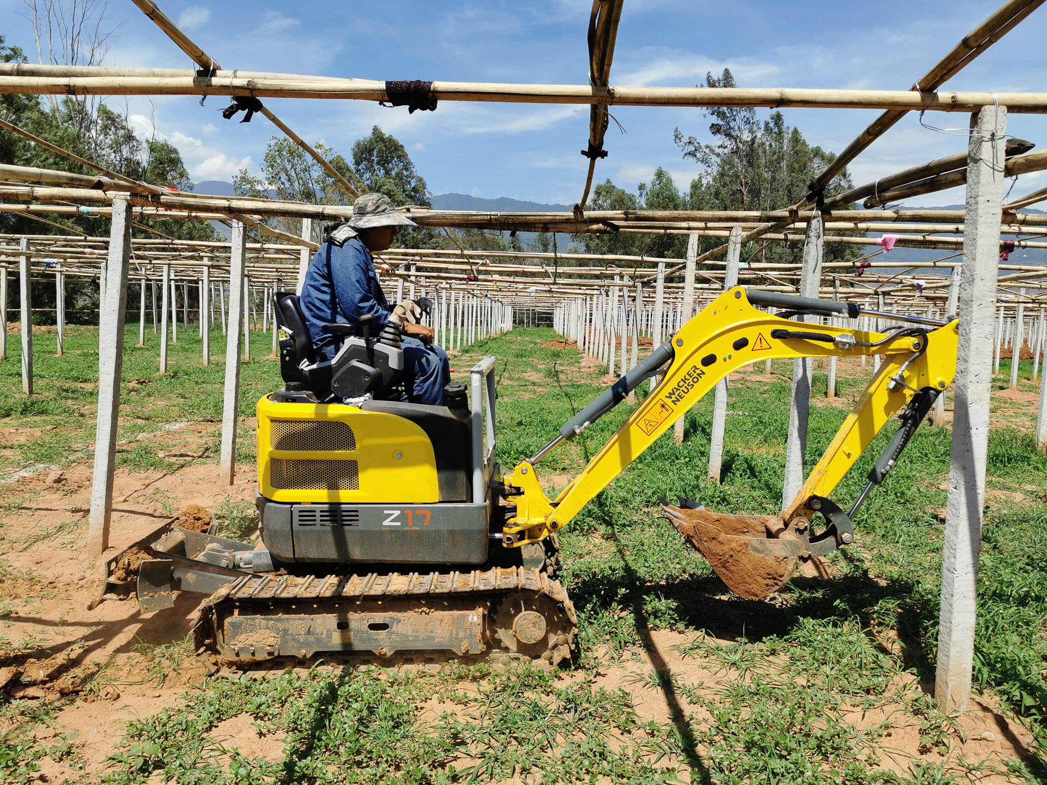 Wacker Neuson EZ17 NSW, QLD, WA (14)